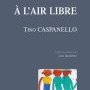 Tino Caspanello, A l'air libre